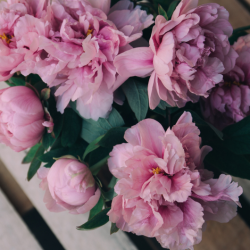 wallhaven-eojx98_50…