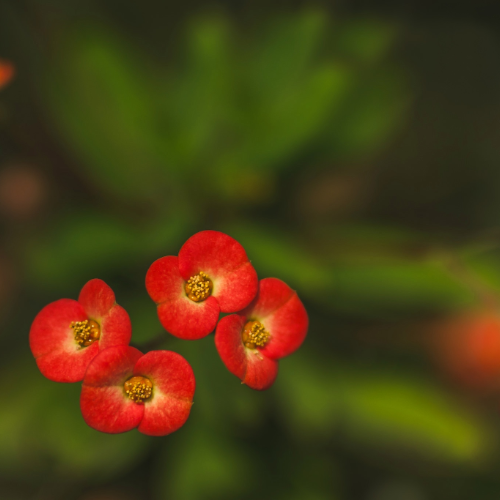 wallhaven-d57x13_50…